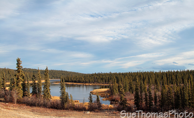 Aishihik Road, Yukon