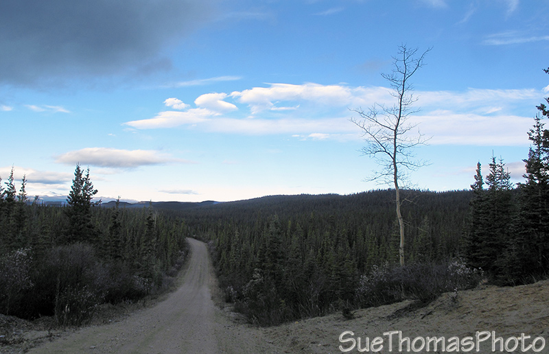 Aishihik Road, Yukon