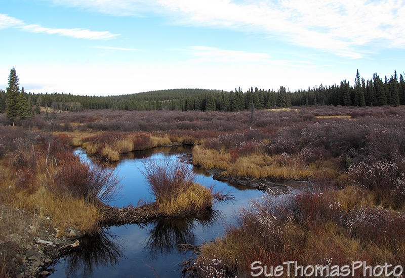 Aishihik Road, Yukon