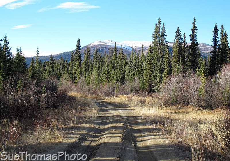 Aishihik Road, Yukon