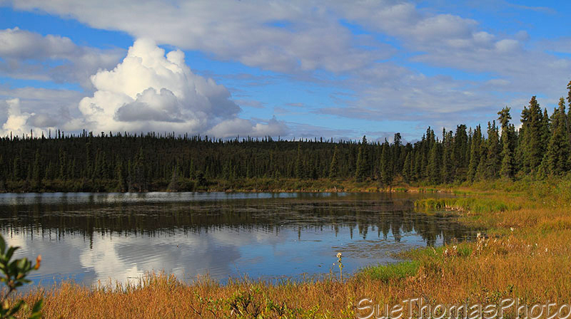 On Nabesna Road in Alaska