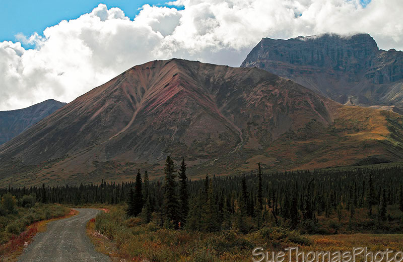 On Nabesna Road in Alaska