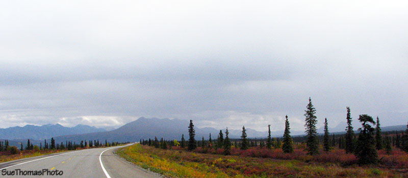 Parks Highway, Denali, Alaska