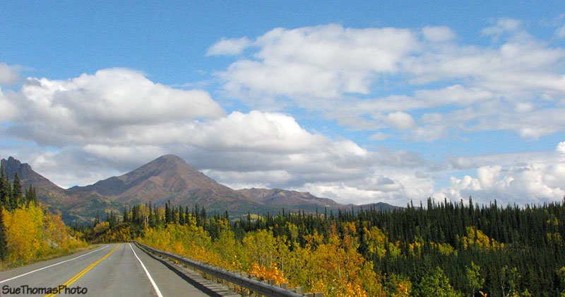 Parks Highway, Denali, Alaska