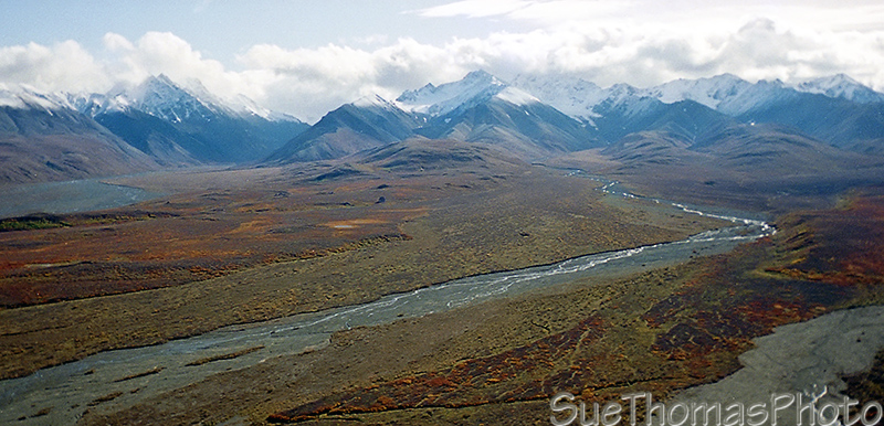 View from Eielson Visitor Center in Denali National Park