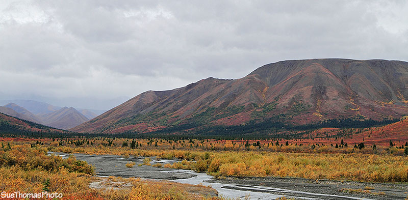 View near Savage River campground in Denali National Park