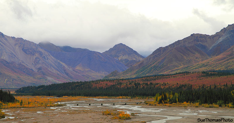 Teklanika rest area, Denali National Park, Alaska