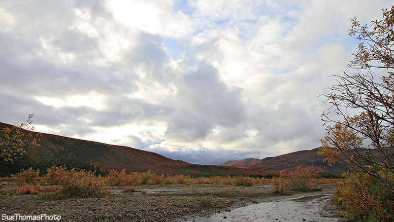 Teklanika River in Denali National Park, Alaska