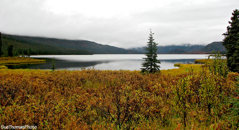 Wonder Lake at Denali National Park, Alaska