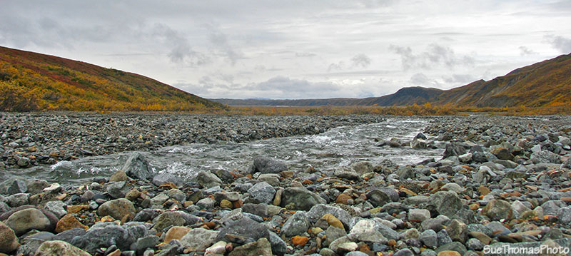 River in Denali National Park, Alaska