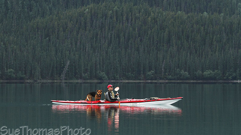Dog in kayak at Muncho Lake, British Columbia