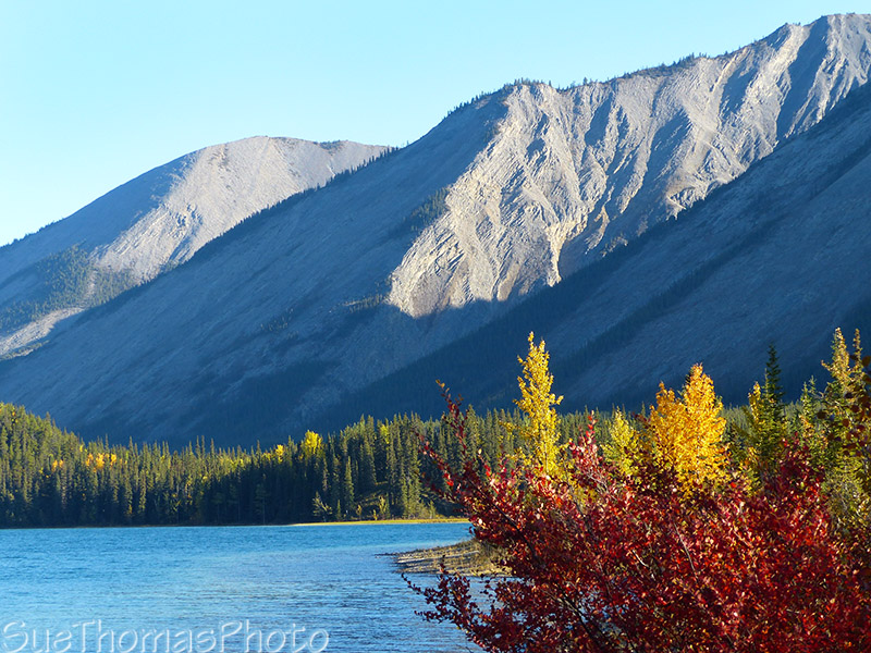 Muncho Lake fall colours and mountains