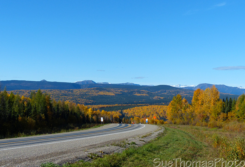 Alaska Highway with fall colours