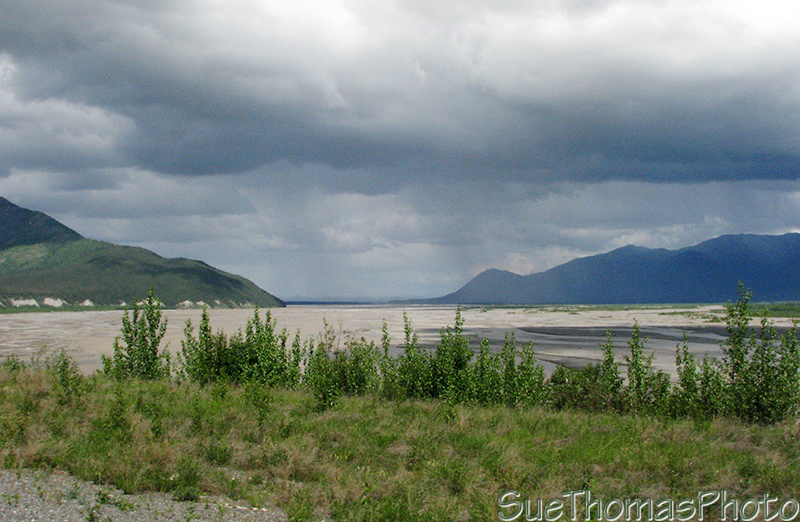 Looking east along the White River, Yukon