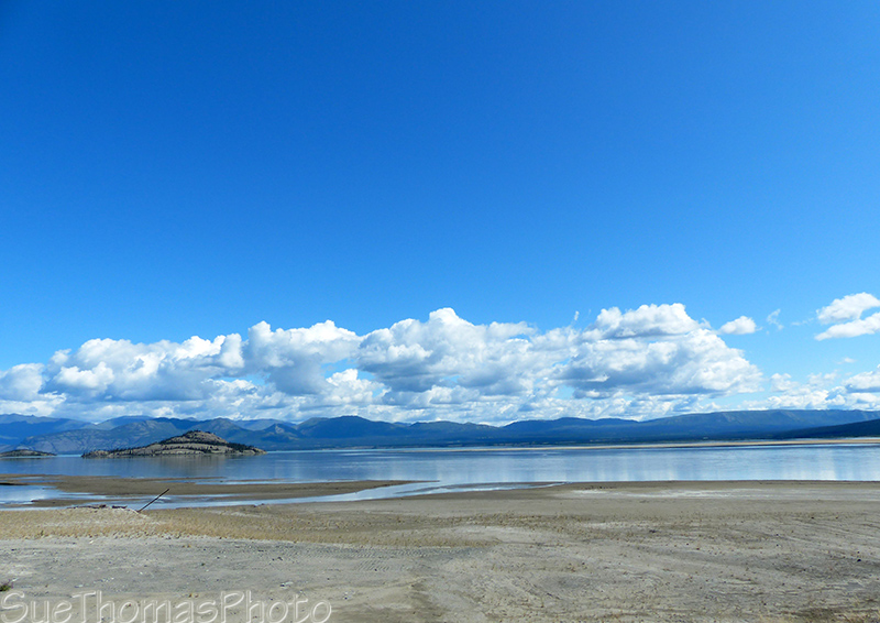 Island in Kluane Lake 