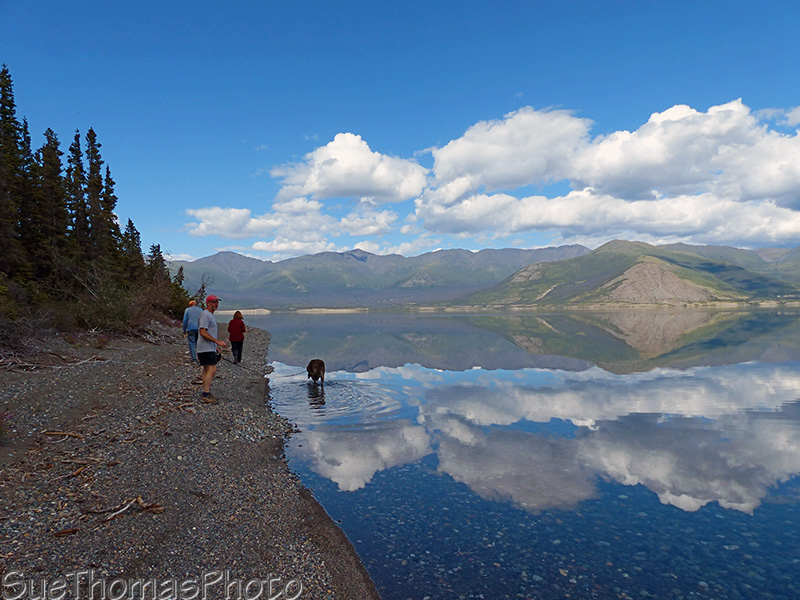 On the beach at Kluane Lake