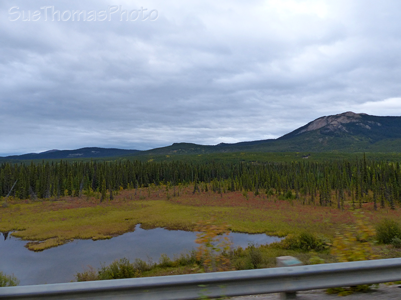 Marsh area beside Alaska Highway