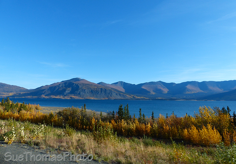 Kluane Lake and fall colours