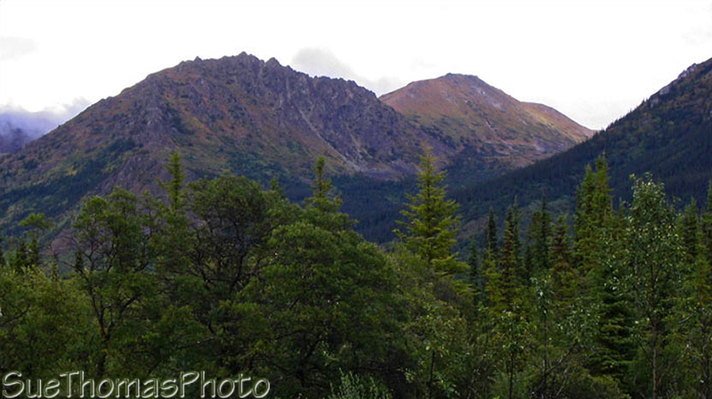 Warm Bay near Atlin, BC