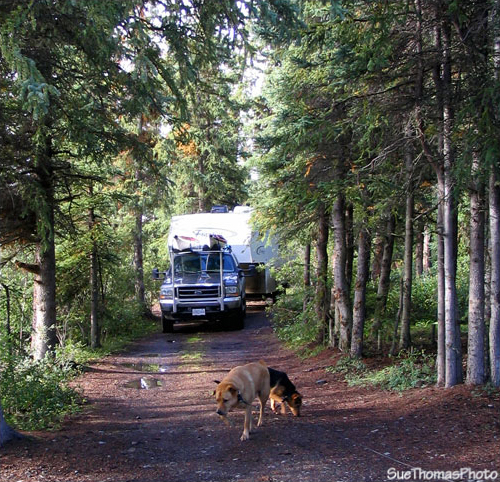 Camping at Warm Bay Recreation Site near Atlin, BC