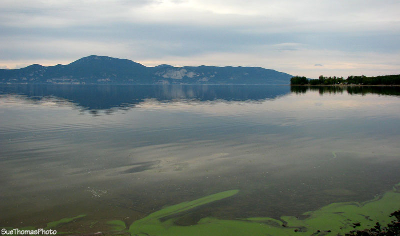 Stuart Lake BC near Fort St James