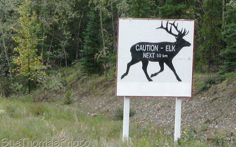 Campbell Highway in Yukon