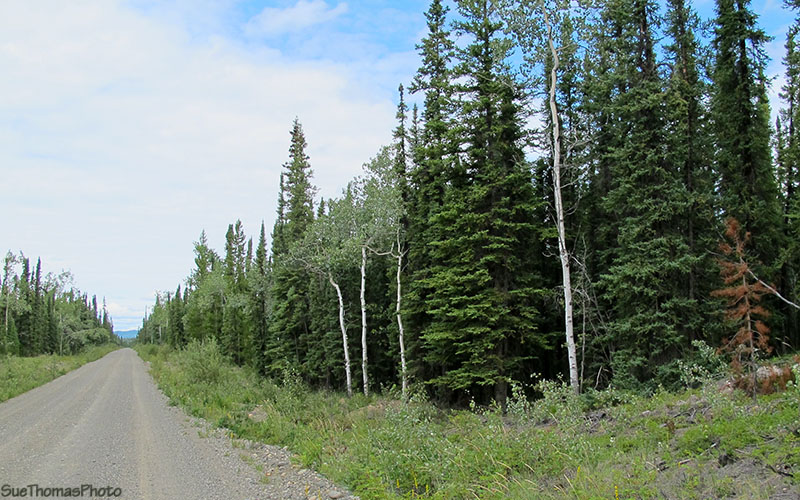 Frenchman-Tatchun Lake Road, Yukon