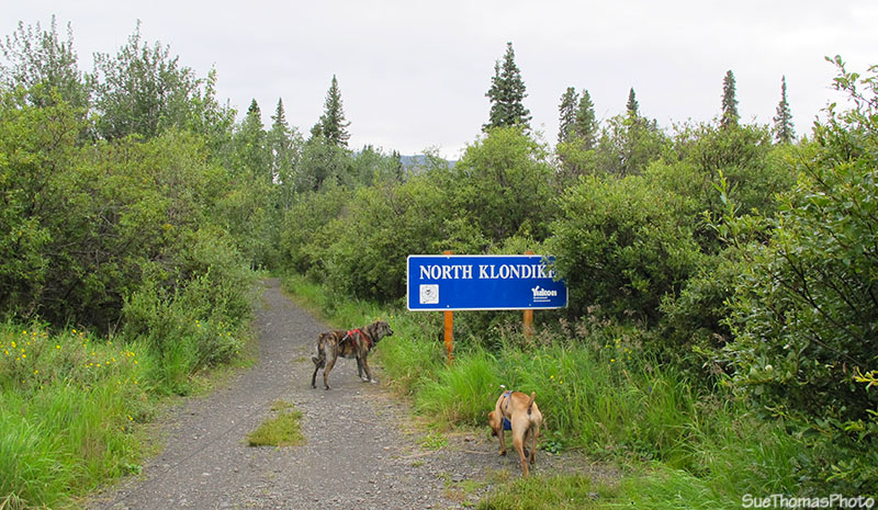 North Klondike hiking trail in Tombstone campground, Yukon