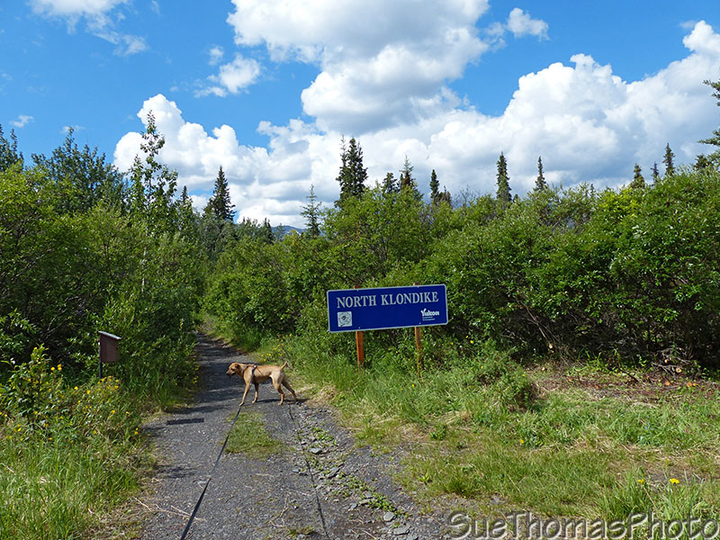 North Klondike River hike
