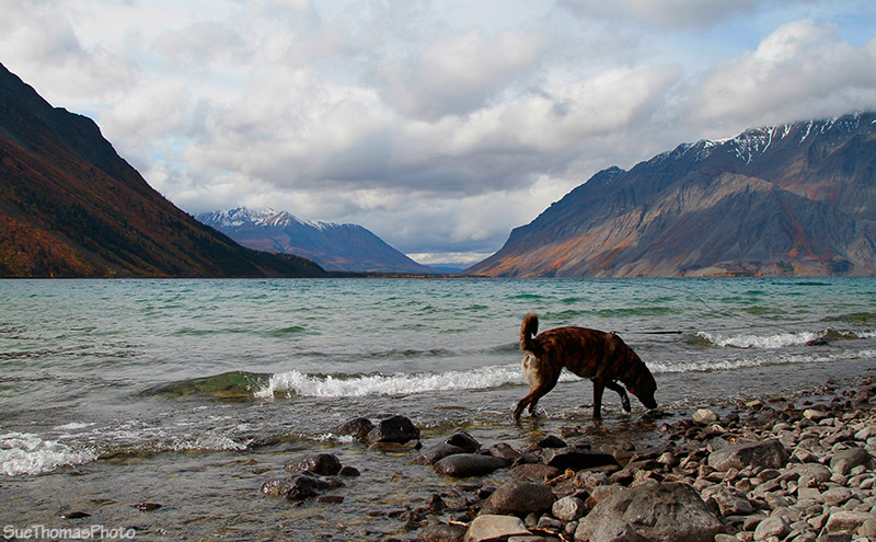 Haines Road, Yukon Territory
