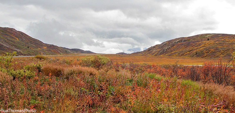 Haines Road, Yukon Territory