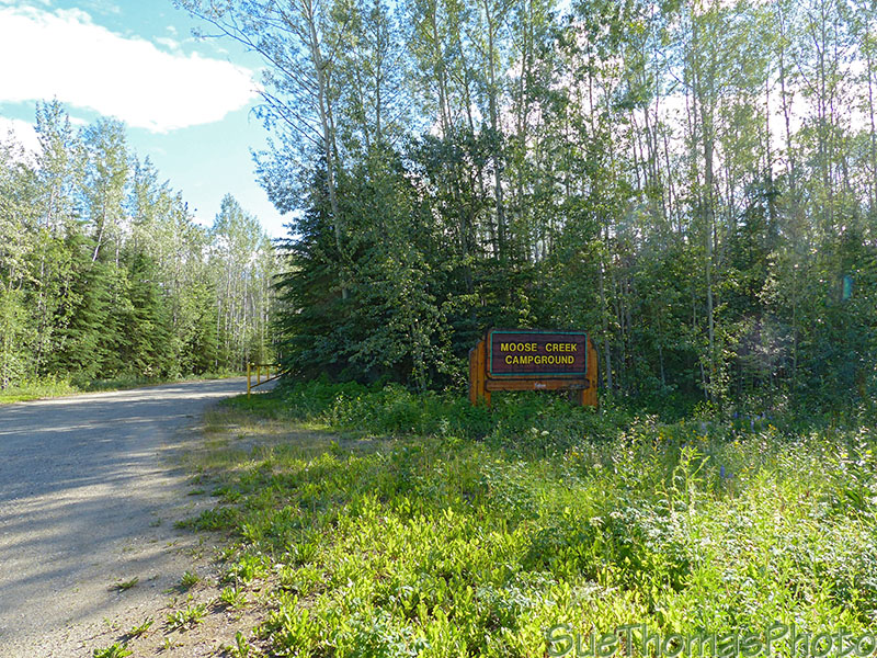 Moose Creek campground in Yukon