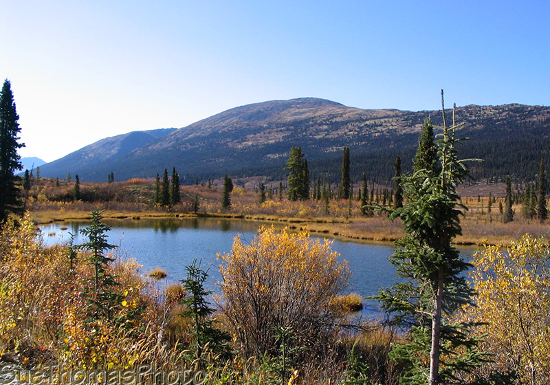 Lake alongside the Nahanni Range Road in Yukon