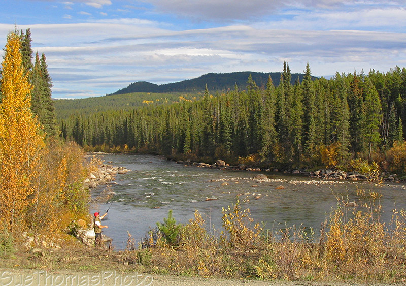 Fishing in Dolly Varden Creek, Nahanni Range Road, Yukon