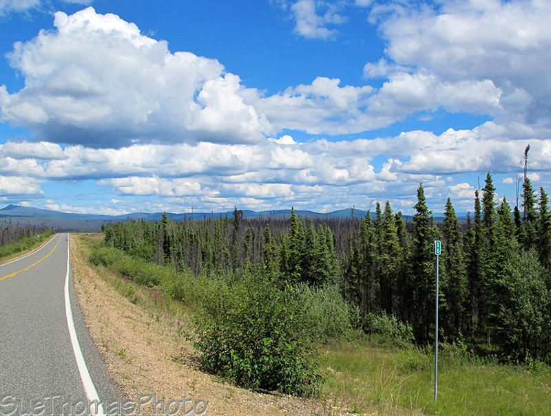 Mile 16, Taylor Highway, Alaska