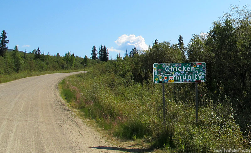 Taylor Highway, Alaska, Chicken