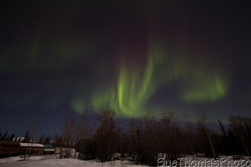 Northern lights spiking in colour