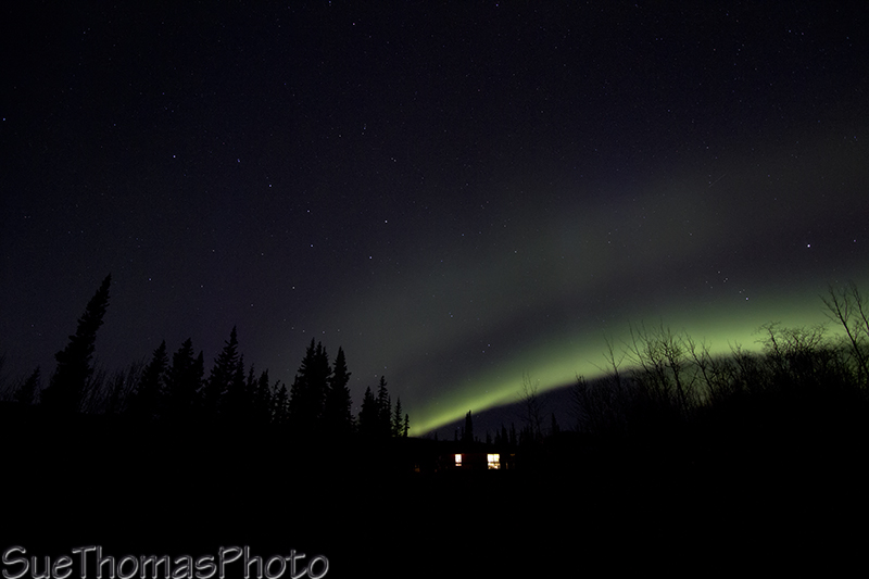 Aurora in Yukon