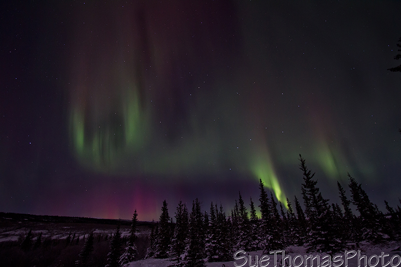 Red aurora northern lights