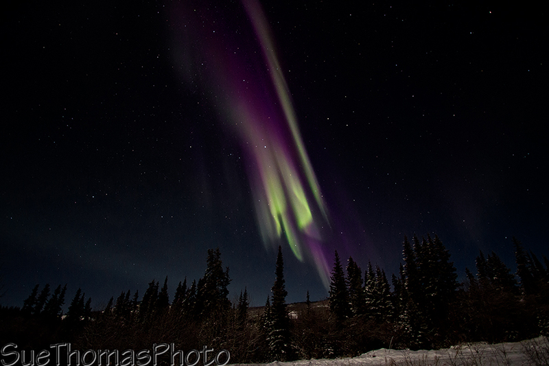 Aurora in Yukon