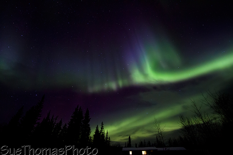 Northern Lights starting to streak