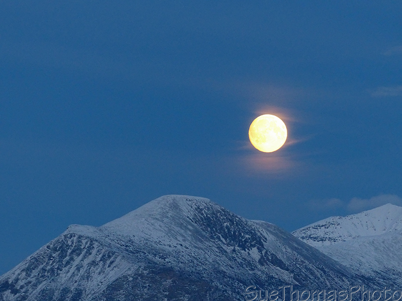 auto shooting the moon