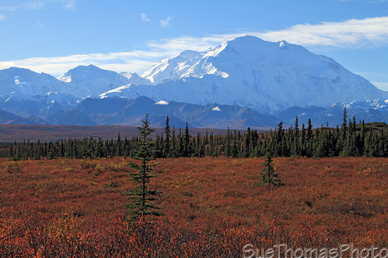 Denali - Mt. McKinley from Wonder Lake, Alaska
