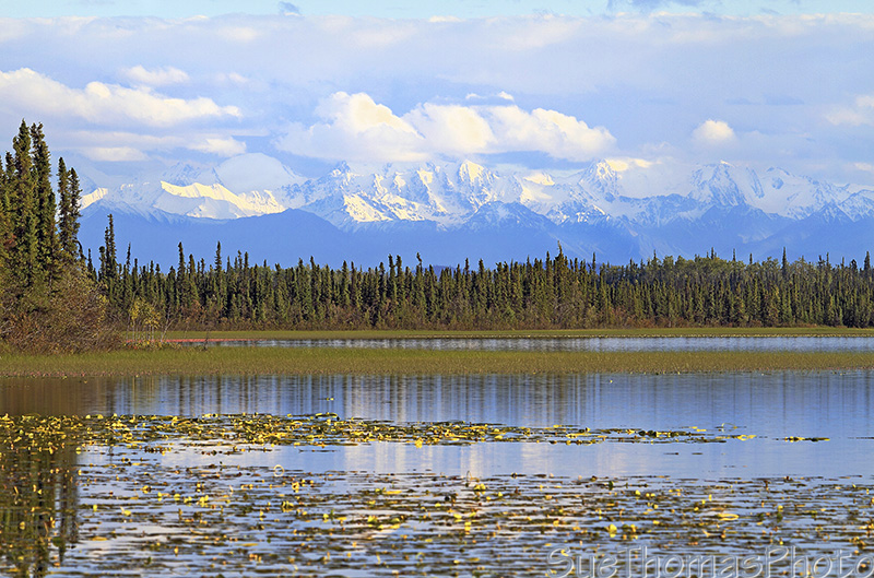 Wrangell Mountains viewed from Deadman Lake Campground in the Tetlin Refuge