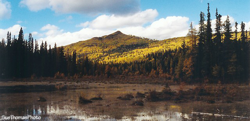Liard Hotsprings, B.C. in fall