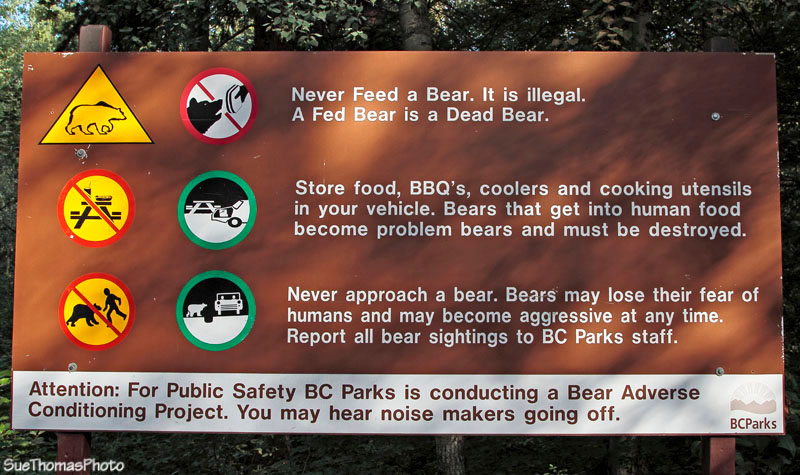 Bear warning sign at Liard Hot Springs on the Alaska Highway, British Columbia