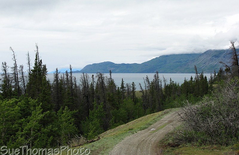 Kluane Lake east shore, Yukon