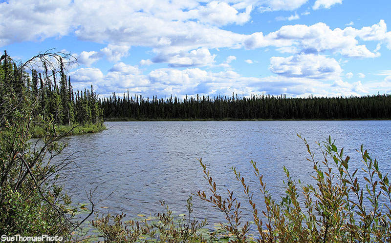 Unknown lake north of Watson Lake on the Alaska Highway