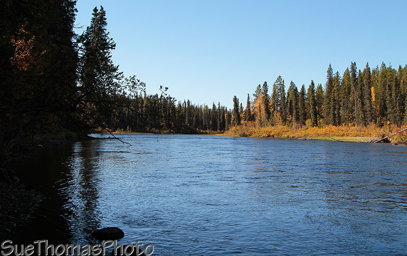 Morley River, Yukon