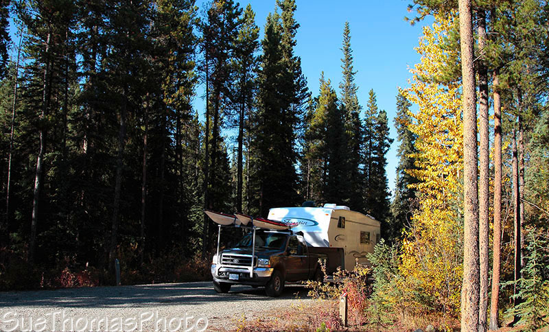 Campsite at Big Creek Yukon gov't campground